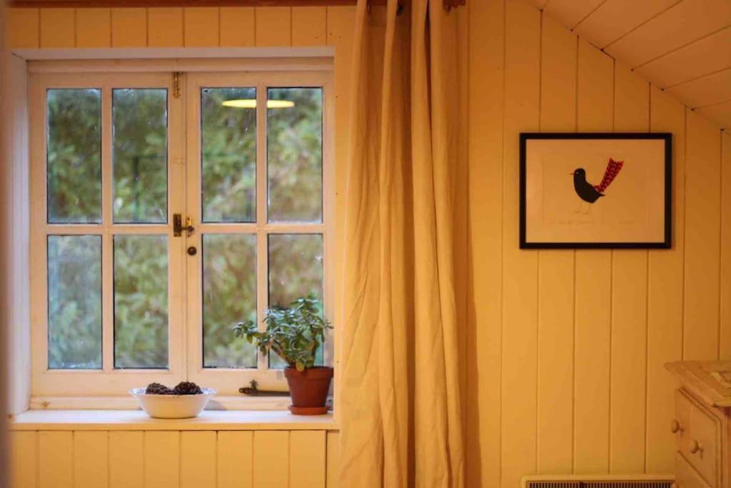 Trinity Annexe An Adorable First Floor Light And Lofty Space Within An Aonb Godmanstone Exteriör bild
