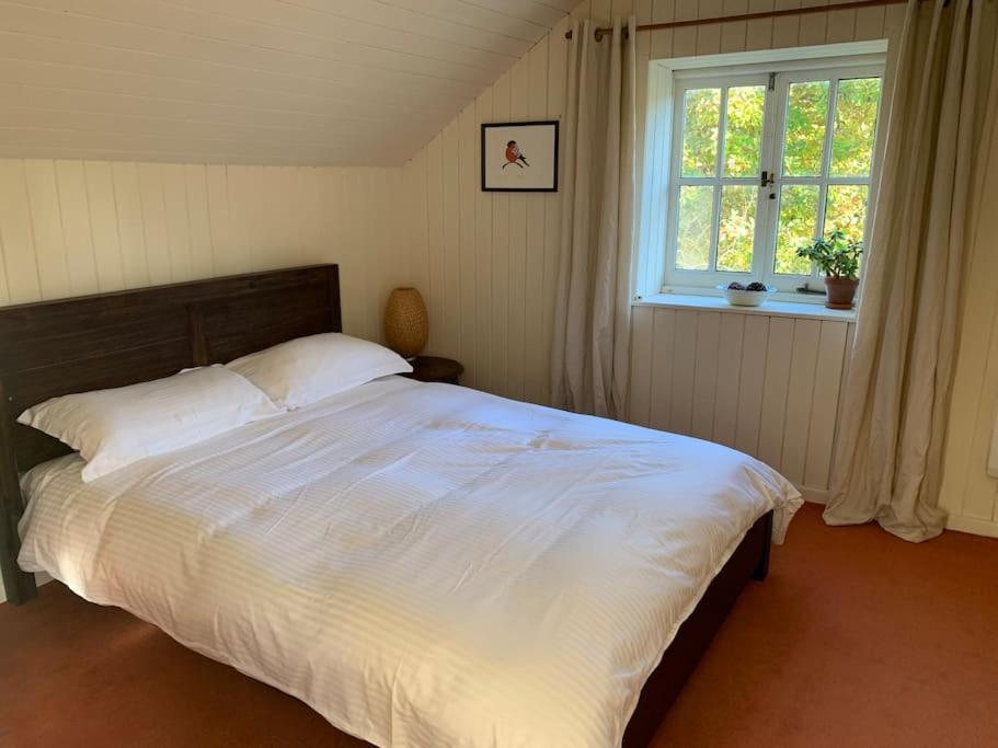 Trinity Annexe An Adorable First Floor Light And Lofty Space Within An Aonb Godmanstone Exteriör bild